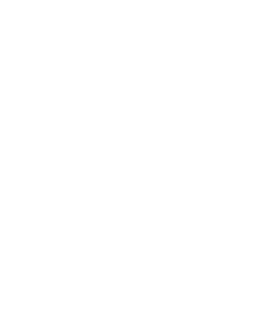 Anel Turganbayeva Interiors